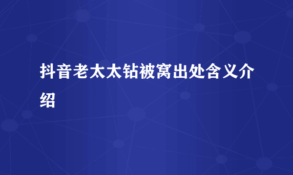 抖音老太太钻被窝出处含义介绍