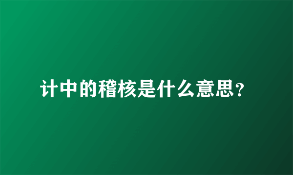 计中的稽核是什么意思？