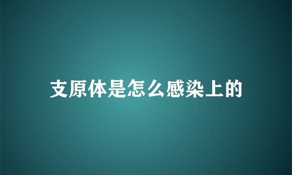 支原体是怎么感染上的