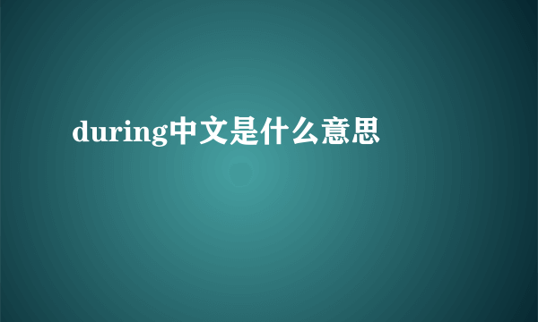 during中文是什么意思