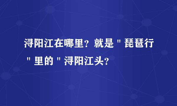 浔阳江在哪里？就是＂琵琶行＂里的＂浔阳江头？