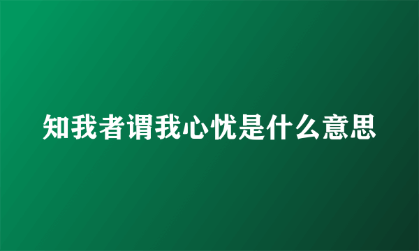 知我者谓我心忧是什么意思