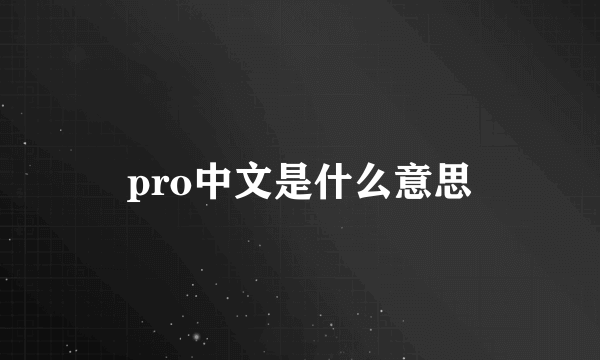 pro中文是什么意思