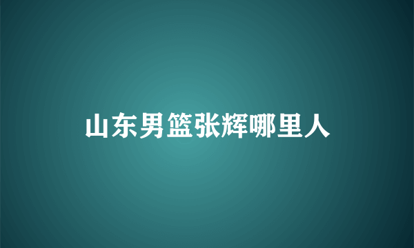 山东男篮张辉哪里人