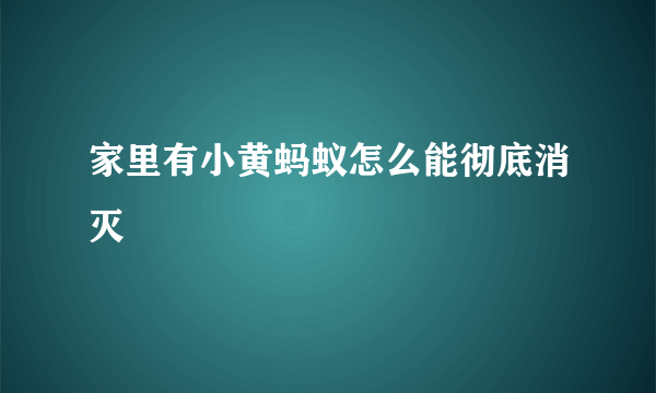 家里有小黄蚂蚁怎么能彻底消灭