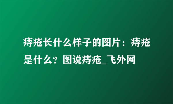 痔疮长什么样子的图片：痔疮是什么？图说痔疮_飞外网