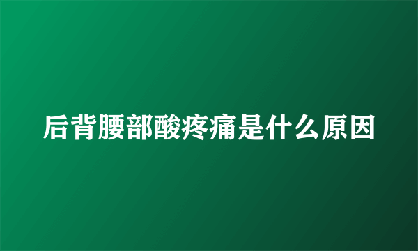 后背腰部酸疼痛是什么原因