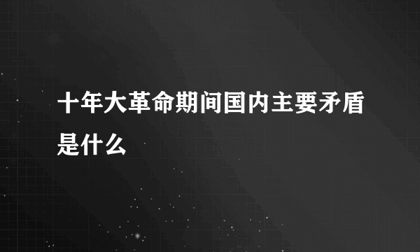 十年大革命期间国内主要矛盾是什么