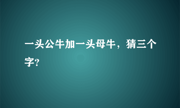 一头公牛加一头母牛，猜三个字？