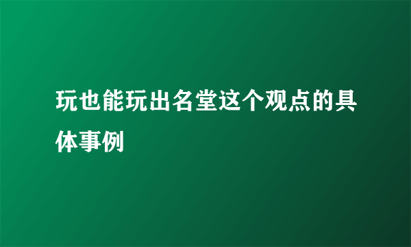 玩也能玩出名堂这个观点的具体事例