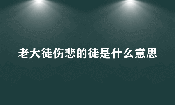 老大徒伤悲的徒是什么意思