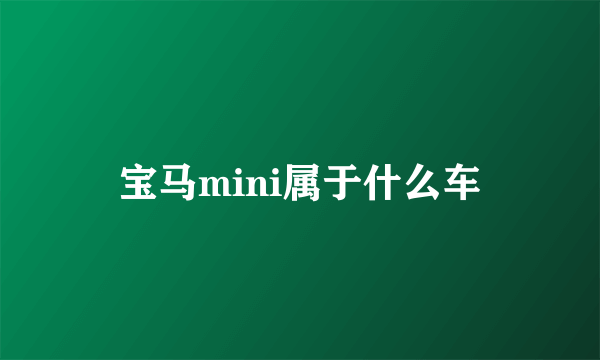 宝马mini属于什么车