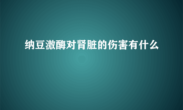 纳豆激酶对肾脏的伤害有什么