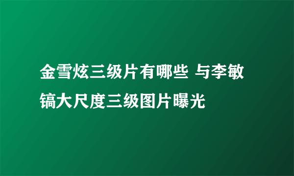 金雪炫三级片有哪些 与李敏镐大尺度三级图片曝光