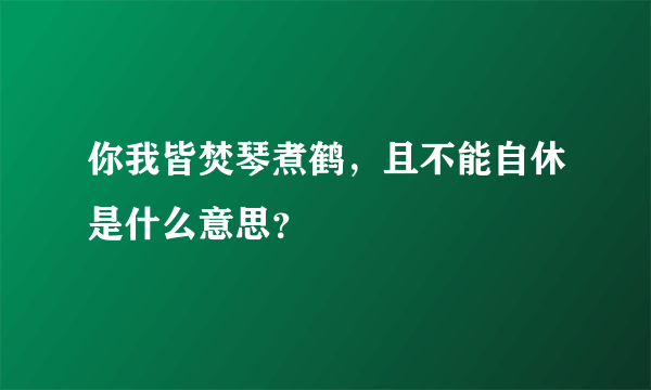 你我皆焚琴煮鹤，且不能自休是什么意思？