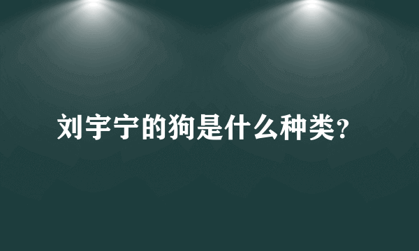 刘宇宁的狗是什么种类？