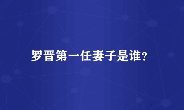 罗晋第一任妻子是谁？