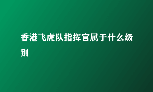 香港飞虎队指挥官属于什么级别