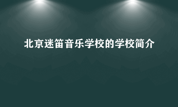 北京迷笛音乐学校的学校简介