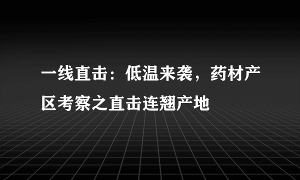 一线直击：低温来袭，药材产区考察之直击连翘产地