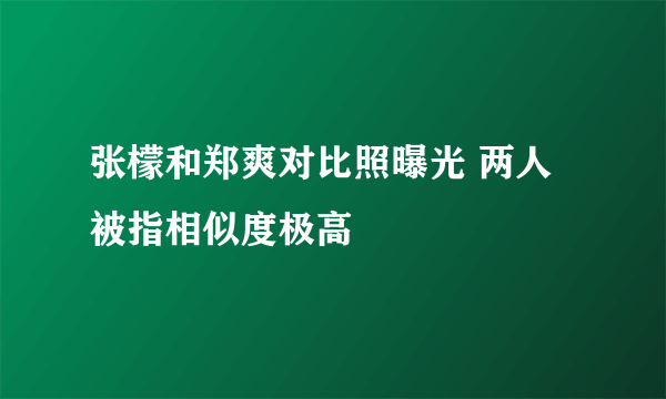 张檬和郑爽对比照曝光 两人被指相似度极高