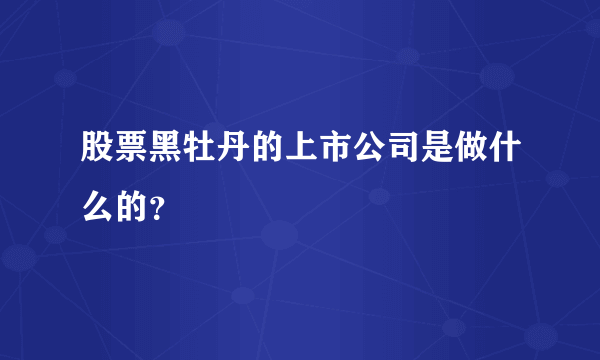 股票黑牡丹的上市公司是做什么的？