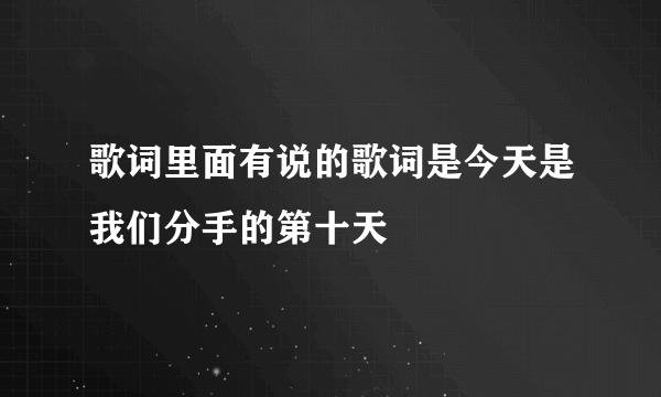 歌词里面有说的歌词是今天是我们分手的第十天