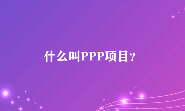 什么叫PPP项目？