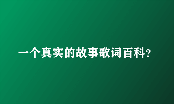 一个真实的故事歌词百科？