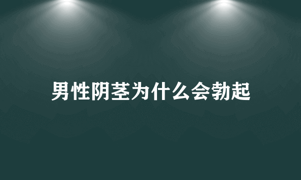 男性阴茎为什么会勃起