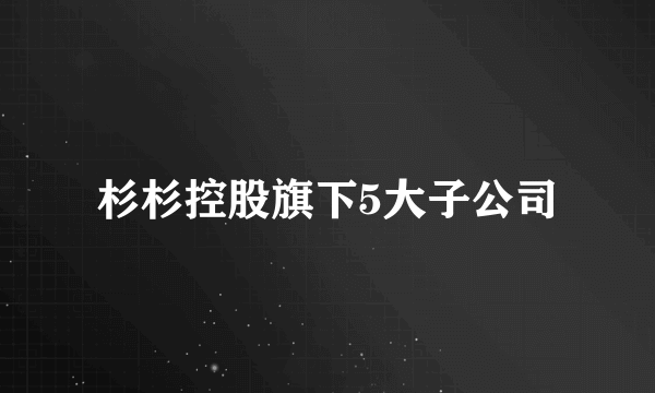 杉杉控股旗下5大子公司