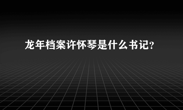 龙年档案许怀琴是什么书记？