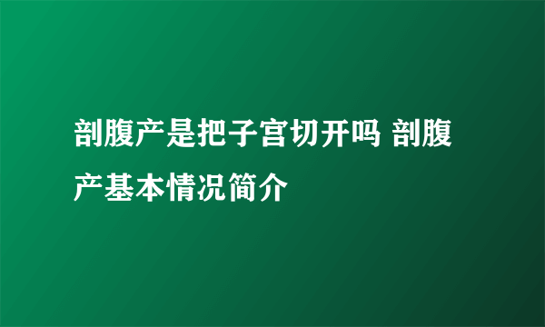 剖腹产是把子宫切开吗 剖腹产基本情况简介