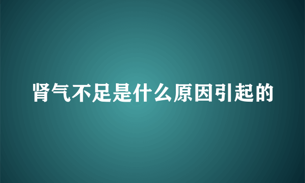 肾气不足是什么原因引起的