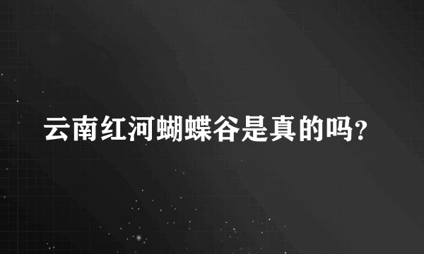 云南红河蝴蝶谷是真的吗？