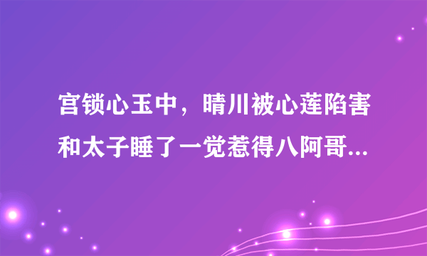 宫锁心玉中，晴川被心莲陷害和太子睡了一觉惹得八阿哥大怒是第几集？（按土豆网）