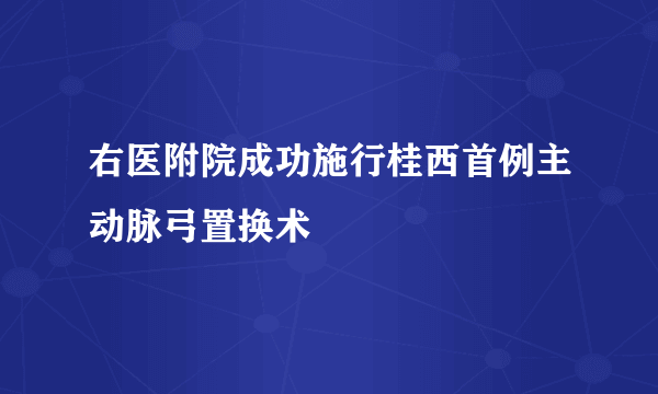 右医附院成功施行桂西首例主动脉弓置换术