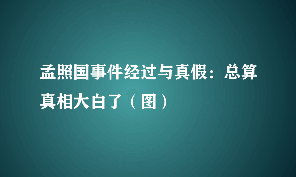 孟照国事件经过与真假：总算真相大白了（图）