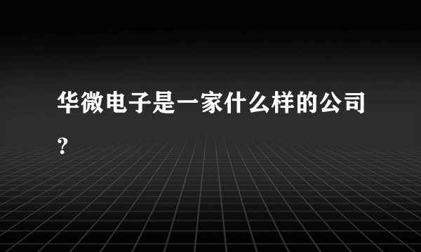 华微电子是一家什么样的公司？