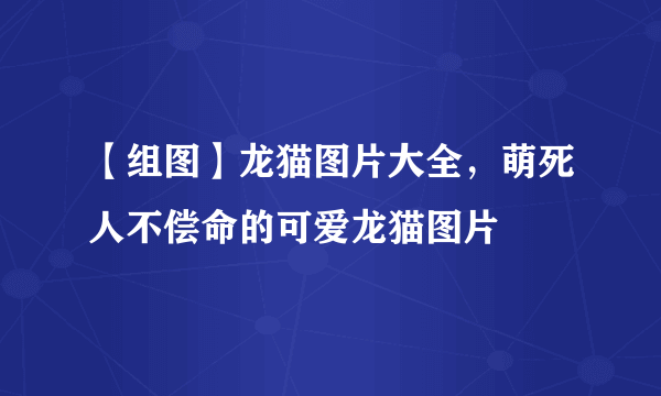 【组图】龙猫图片大全，萌死人不偿命的可爱龙猫图片