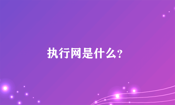 执行网是什么？