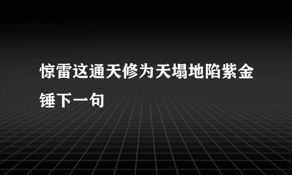 惊雷这通天修为天塌地陷紫金锤下一句