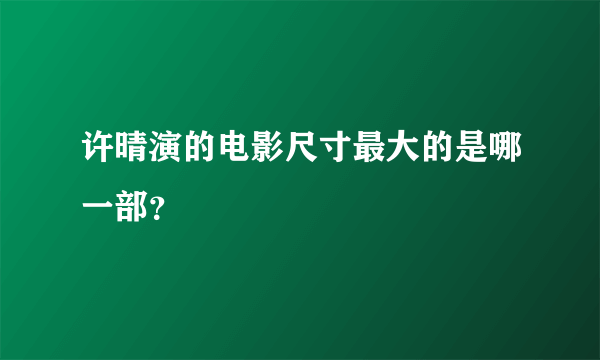 许晴演的电影尺寸最大的是哪一部？