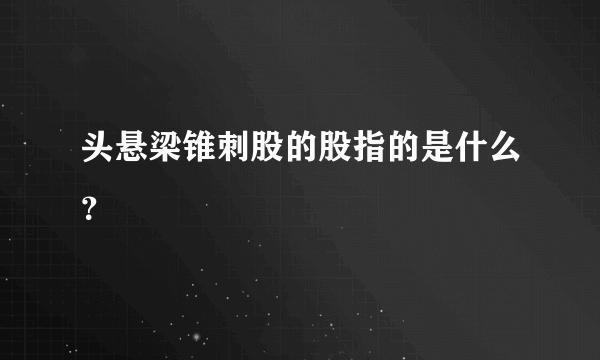 头悬梁锥刺股的股指的是什么？