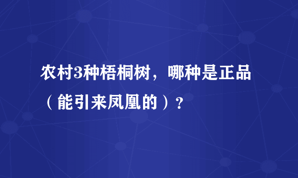 农村3种梧桐树，哪种是正品（能引来凤凰的）？