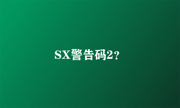 SX警告码2？