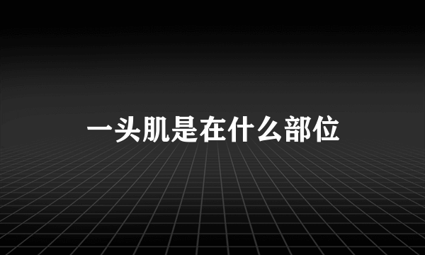 一头肌是在什么部位