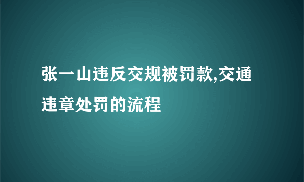 张一山违反交规被罚款,交通违章处罚的流程