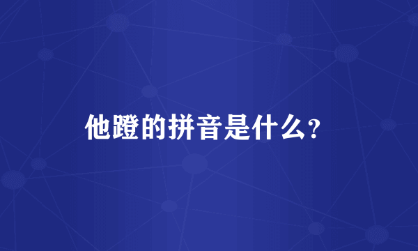 他蹬的拼音是什么？