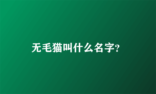 无毛猫叫什么名字？